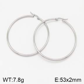 Stainless Steel Earrings  5E2001962vahk-423