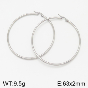 Stainless Steel Earrings  5E2001963vahk-423