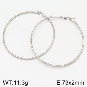 Stainless Steel Earrings  5E2001964aahm-423