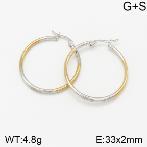 Stainless Steel Earrings  5E2001969avja-423