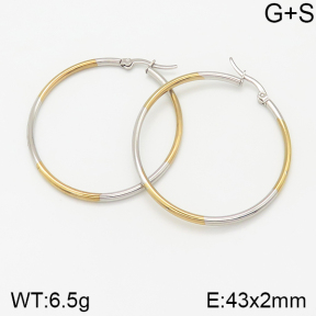 Stainless Steel Earrings  5E2001970avja-423