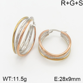 Stainless Steel Earrings  5E2001980vbnb-423