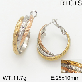 Stainless Steel Earrings  5E2001982vbnb-423