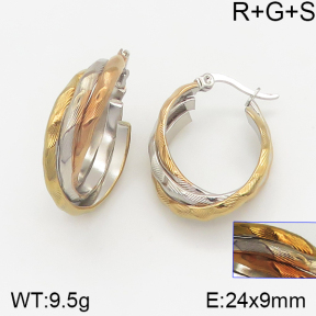 Stainless Steel Earrings  5E2001983vbnb-423