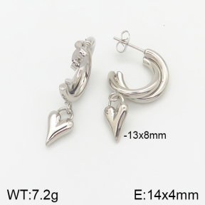 Stainless Steel Earrings  5E2001997vbnb-423