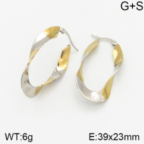 Stainless Steel Earrings  5E2002003vbmb-423