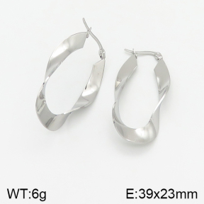 Stainless Steel Earrings  5E2002006baka-423