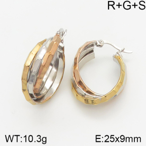 Stainless Steel Earrings  5E2002008vbnb-423