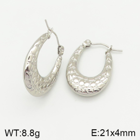 Stainless Steel Earrings  5E2002013aajl-423