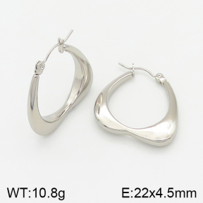 Stainless Steel Earrings  5E2002020aajl-423
