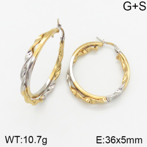 Stainless Steel Earrings  5E2002024baka-423