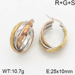 Stainless Steel Earrings  5E2002030vbnb-423