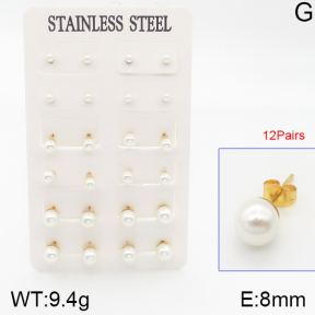Stainless Steel Earrings  5E3000583vhov-423
