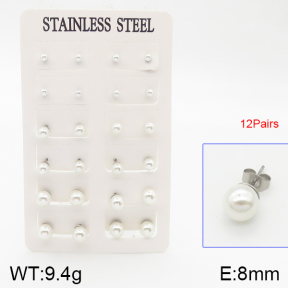Stainless Steel Earrings  5E3000584ahlv-423
