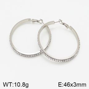 Stainless Steel Earrings  5E4001432bbml-423