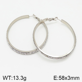 Stainless Steel Earrings  5E4001434vbnl-423