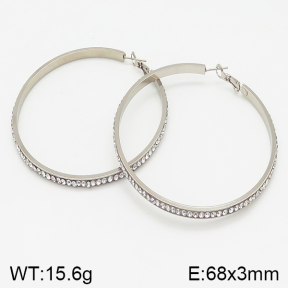 Stainless Steel Earrings  5E4001436abol-423