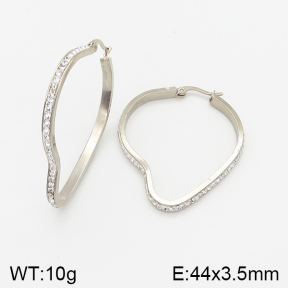 Stainless Steel Earrings  5E4001439aakl-423