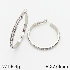 Stainless Steel Earrings  5E4001440aakl-423