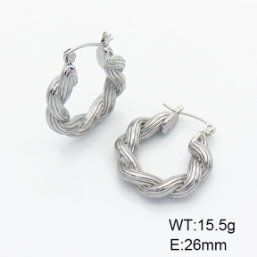 Stainless Steel Earrings  6E2006119bhva-G037