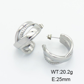 Stainless Steel Earrings  Handmade Polished  6E2006122vhha-G037