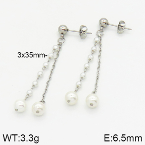 Stainless Steel Earrings  2E3001076bbml-350