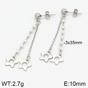 Stainless Steel Earrings  2E3001078bbml-350