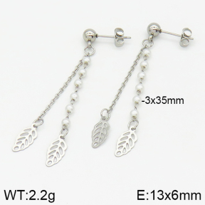 Stainless Steel Earrings  2E3001079bbml-350