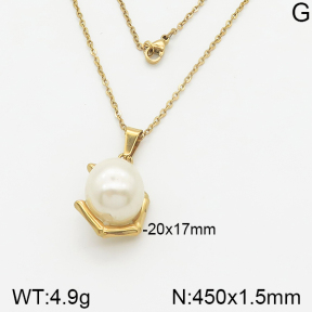 Stainless Steel Necklace  5N3000330ablb-355