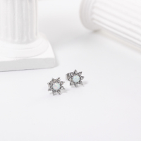 Stainless Steel Earrings  Synthetic Opal & Czech Stones,Handmade Polished  WT:1.1g  E:9mm  GEE001056vhmv-700