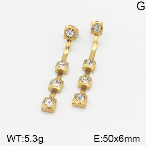 Stainless Steel Earrings  5E4001447ablb-734