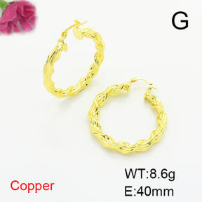 Fashion Copper Earrings  F6E200256vbnb-L017