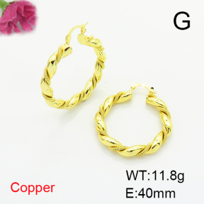 Fashion Copper Earrings  F6E200257vbnb-L017