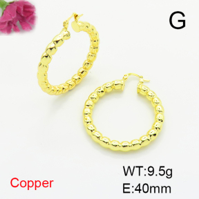 Fashion Copper Earrings  F6E200259vbnb-L017