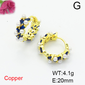 Fashion Copper Earrings  F6E404452bhva-L017