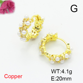 Fashion Copper Earrings  F6E404454bhva-L017