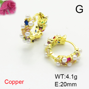 Fashion Copper Earrings  F6E404457bhva-L017