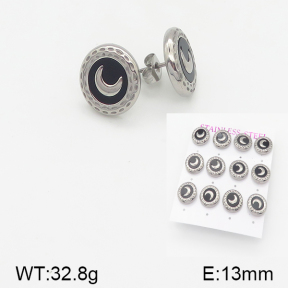 Stainless Steel Earrings  5E4001480vihb-436