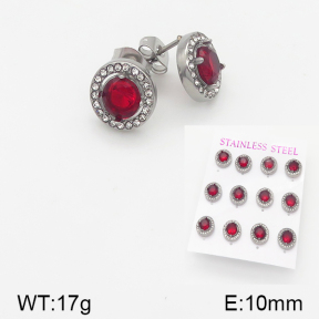Stainless Steel Earrings  5E4001483aiov-436