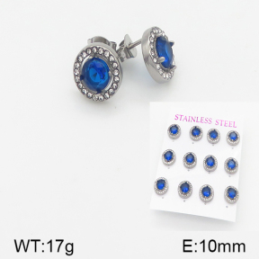 Stainless Steel Earrings  5E4001486aiov-436
