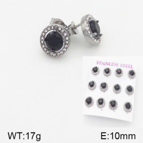 Stainless Steel Earrings  5E4001489aiov-436