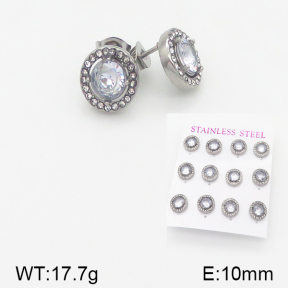 Stainless Steel Earrings  5E4001492aiov-436