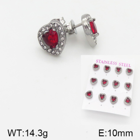 Stainless Steel Earrings  5E4001495aiov-436