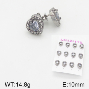 Stainless Steel Earrings  5E4001498aiov-436