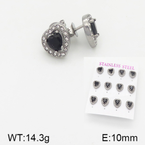 Stainless Steel Earrings  5E4001501aiov-436