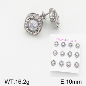 Stainless Steel Earrings  5E4001507aiov-436