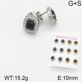 Stainless Steel Earrings  5E4001509aipl-436