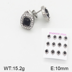 Stainless Steel Earrings  5E4001510aiov-436