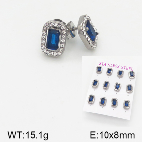 Stainless Steel Earrings  5E4001519aiov-436