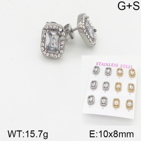 Stainless Steel Earrings  5E4001521aipl-436